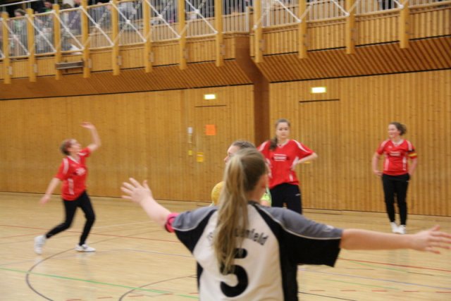 2016_01_16 Landesliga Jugend 19